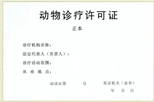 成都动物诊疗许可证办理指南，具体条件、材料、流程及注意事项