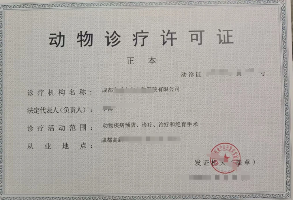 成都宠物医院装修布局详解