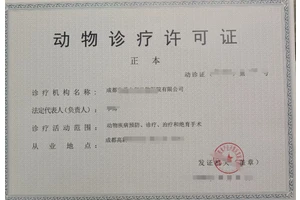 成都宠物医院装修布局详解